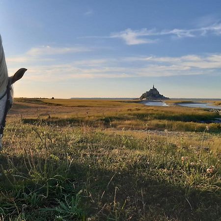 Gite Le Chausey Mont Saint Michel ポントルソン エクステリア 写真